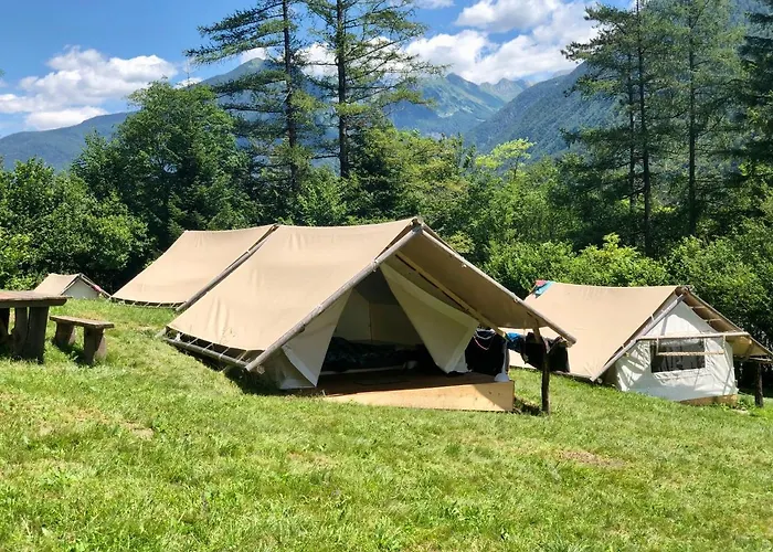 Adrenaline Check Camping