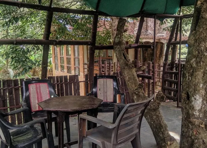 Jungle Jive Tree House Munnar