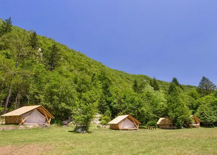 Adrenaline Check Camping