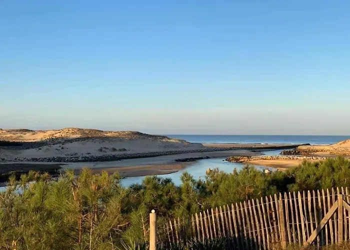 Les Dunes de Contis