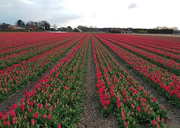 De Wagen