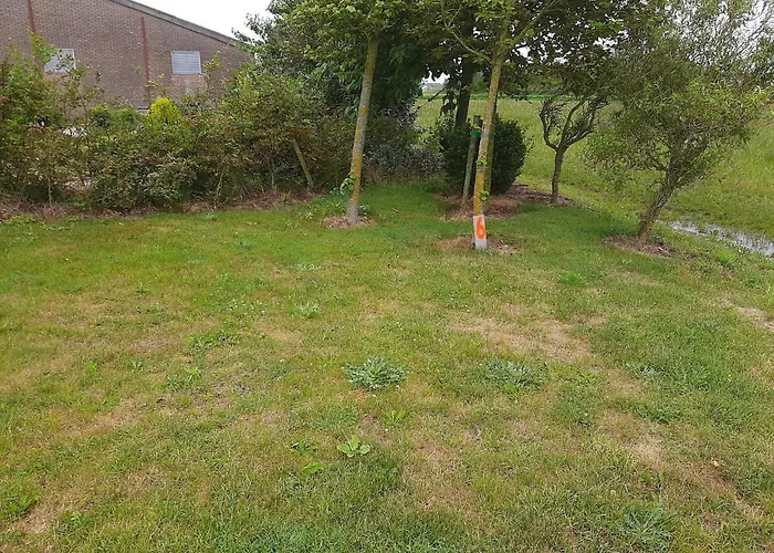Empty Spot On Grass Camping The Tulip No Beds