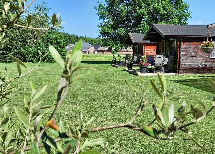 tHoefijzer Luxere Blokhutten 5 pers en Mini Camping