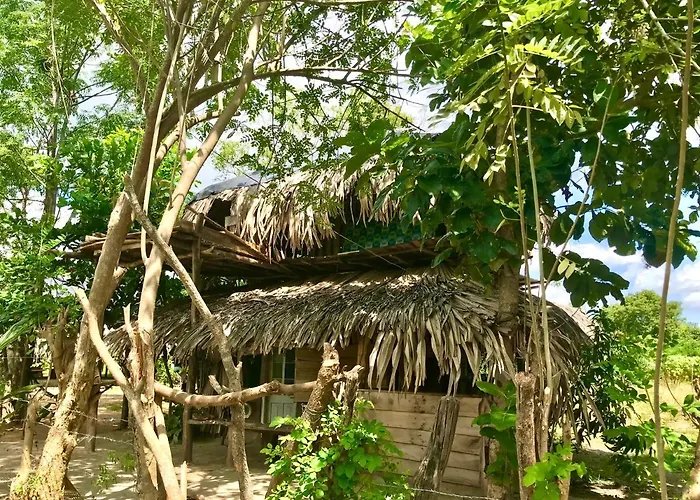 Mallara Restsafari