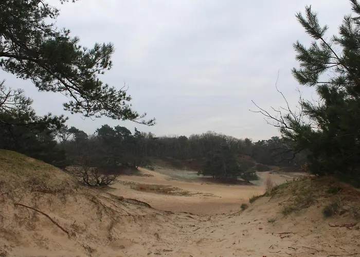 Camping het Smitske
