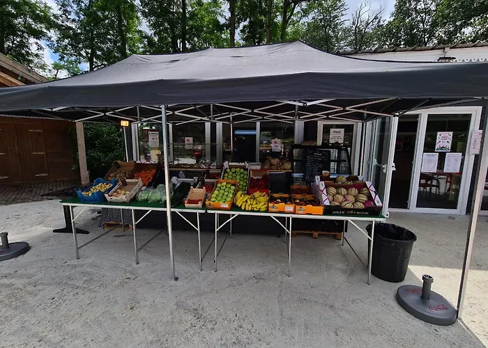 Mobil-home 6 personnes climatisé le Miami