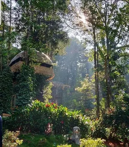 Jungle Jive Tree House Munnar