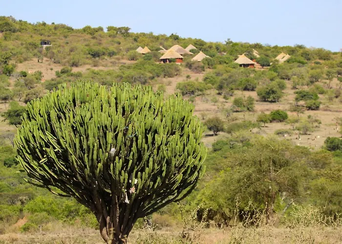 Africa Safari Maasai Boma Camping