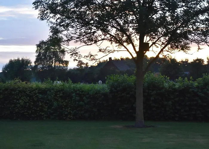 Happy Home-Slapen onder de sterren