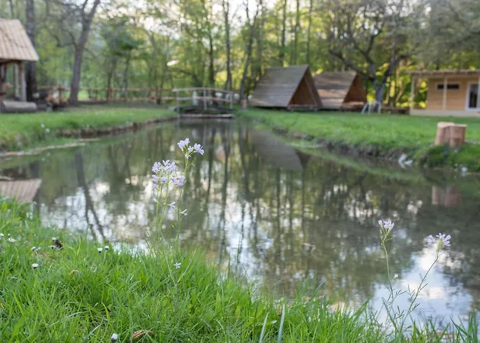 Kamp Na Otoku - Ljubno Ob Savinji