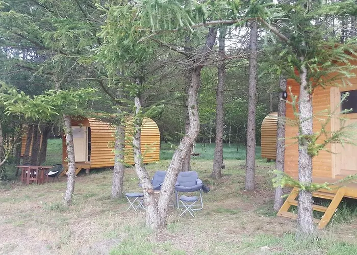 Glamping Pod im Wald