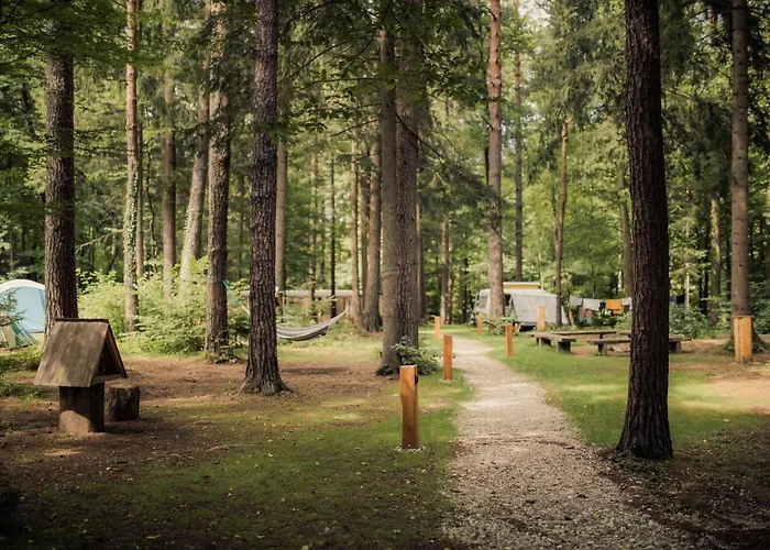 Forest Camping Mozirje