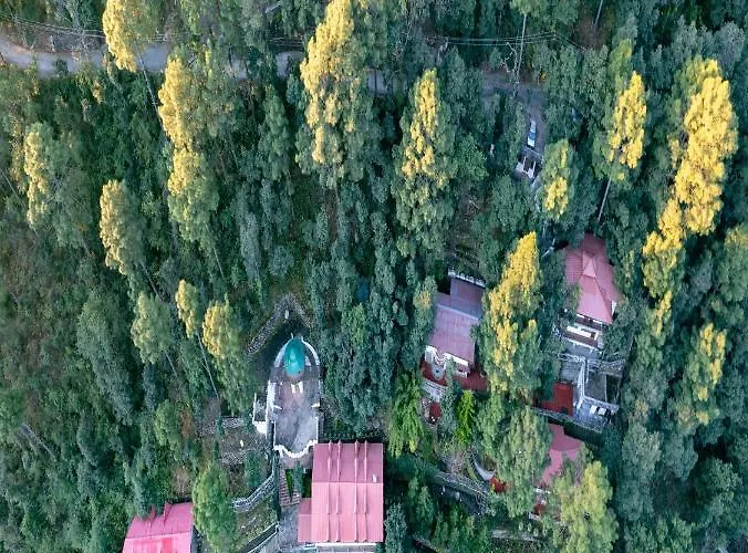The Canadian Woods Resort