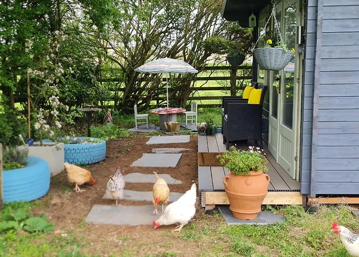 Mulberry Cottage Farm
