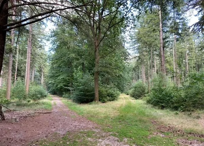 Stacaravan huren in het hart van bosrijk Drenthe op Recreatiepark De Tien Heugten