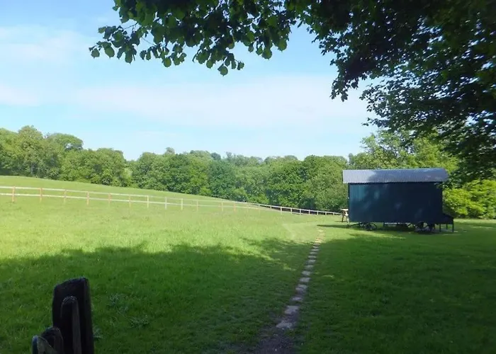 Molly Dishwasher Shepherds Hut