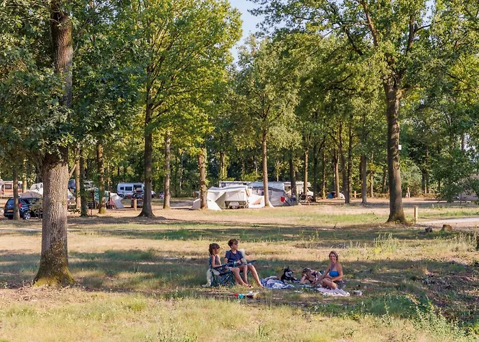 Huttopia De Meinweg