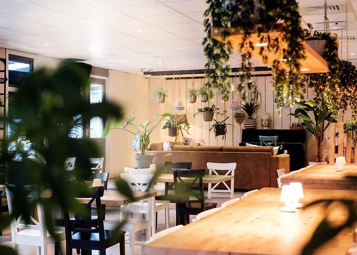 Vakantiepark de Molenhoek