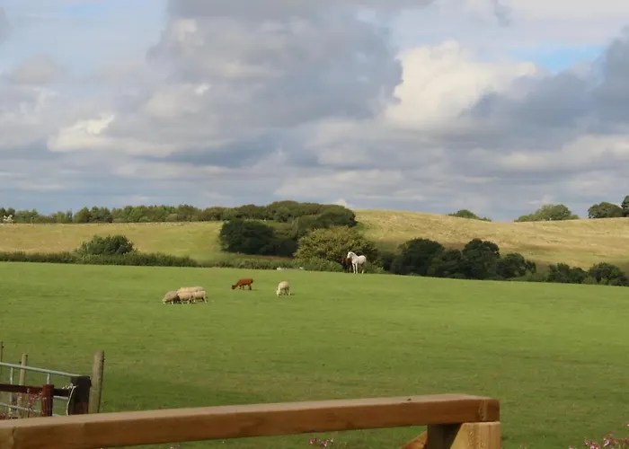 Knapp Farm Glamping Puki Pod