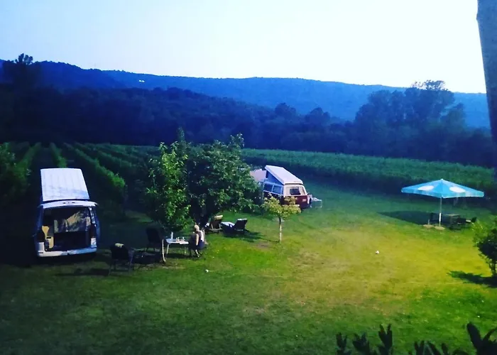 Purple Eye Camp & Winery
