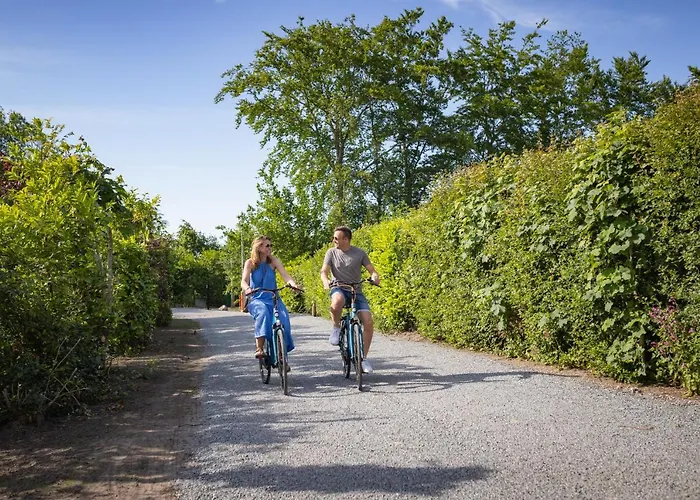 Camping Marvilla Parks Friese Meren - Roan