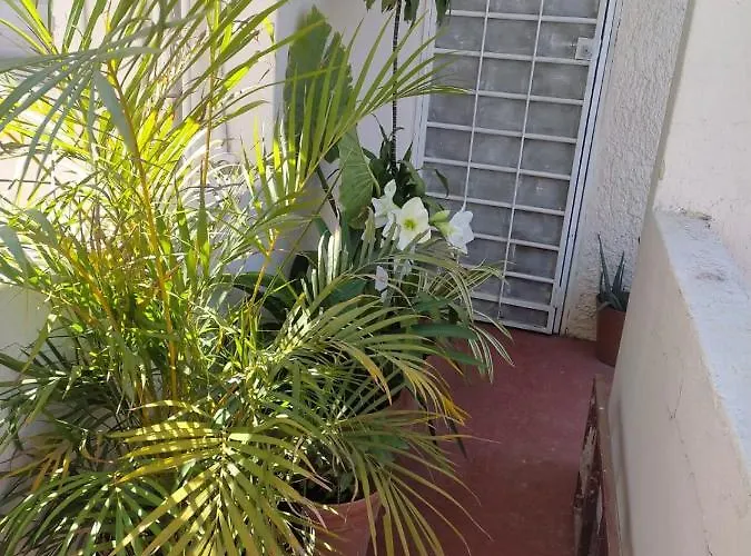 Habitacion Comoda