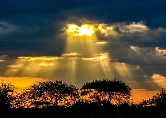 Africa Safari Serengeti Ikoma Camping