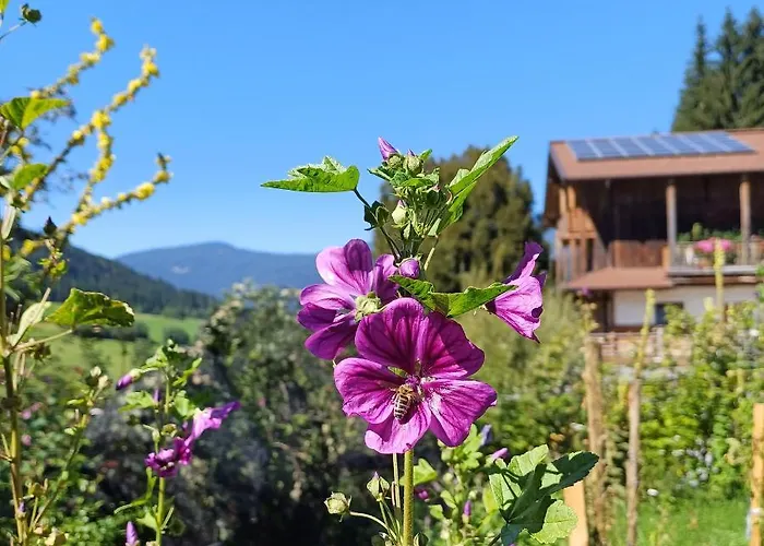 Tiny House Am Steinergut