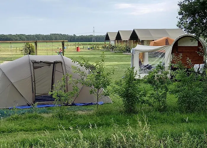 tHoefijzer Luxere Blokhutten 5 pers en Mini Camping