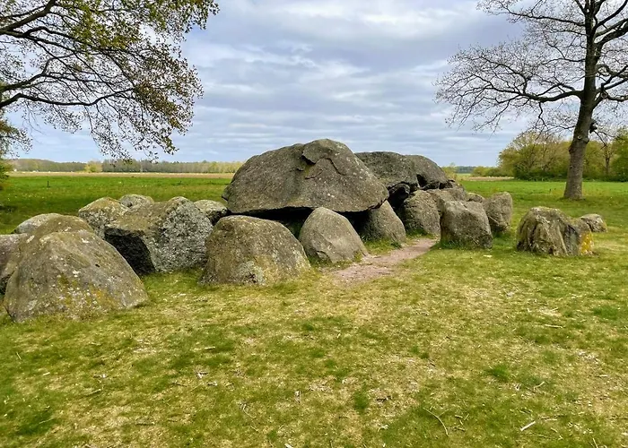 Stacaravan Il Piccolo Nido in Bosrijke Omgeving, Rust&Natuur in Drenthe