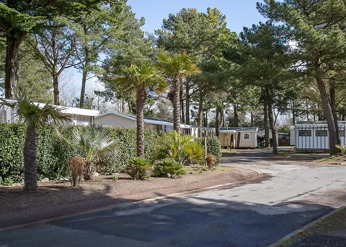 New - Mobil Home Tout Equipe