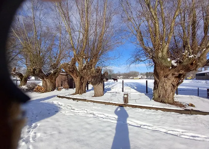 Camping Des Saules
