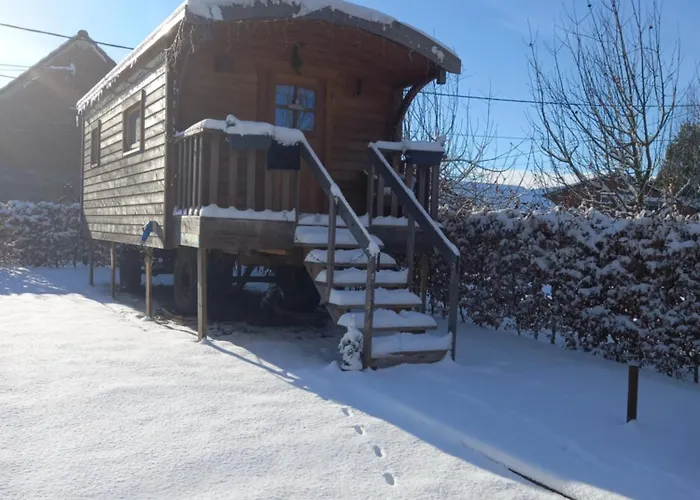 Camping Des Saules