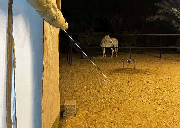 استراحة واحة الختم