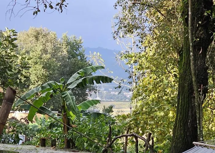 Quinta Miminel