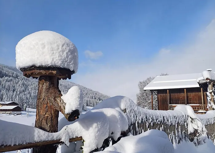 Tiny House Am Steinergut