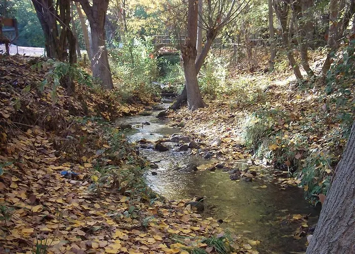Cabañas Camping Sierra de Peñascosa