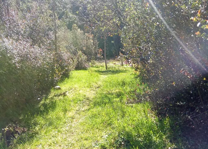 Refugio Y Tinaja Curinanco