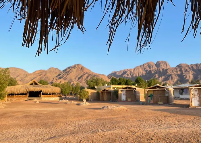 Alwaha Camp