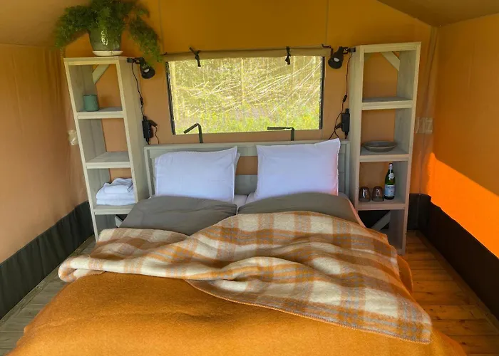 Camping Zee van Tijd Holwerd