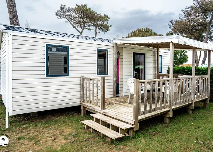 Camping Les Violettes