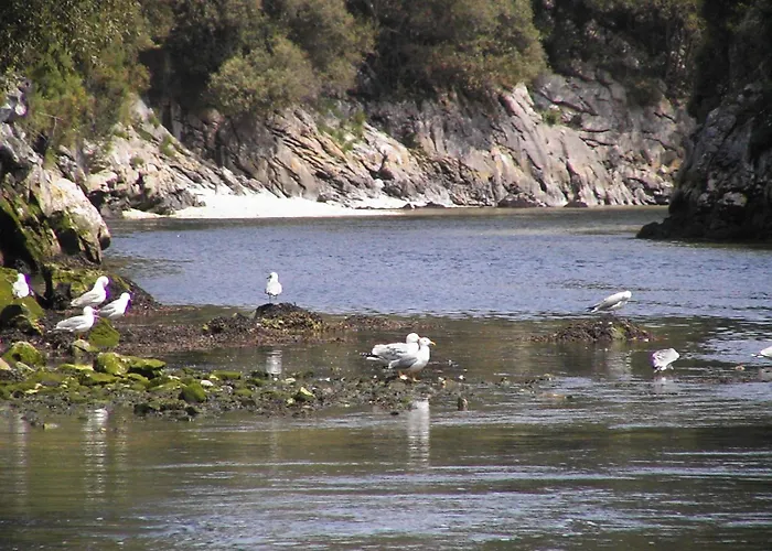 Camping Rio Purón