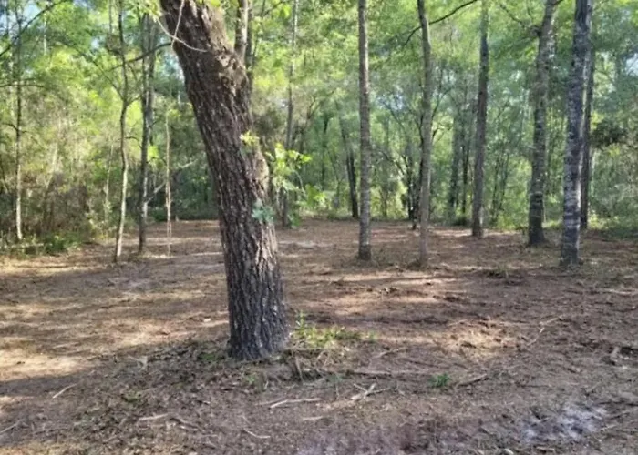Fanning And Manatee Springs Exclusive Primitive Campground