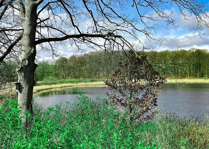 Tiny House Marina am See auf dem Campingplatz Sternberg!