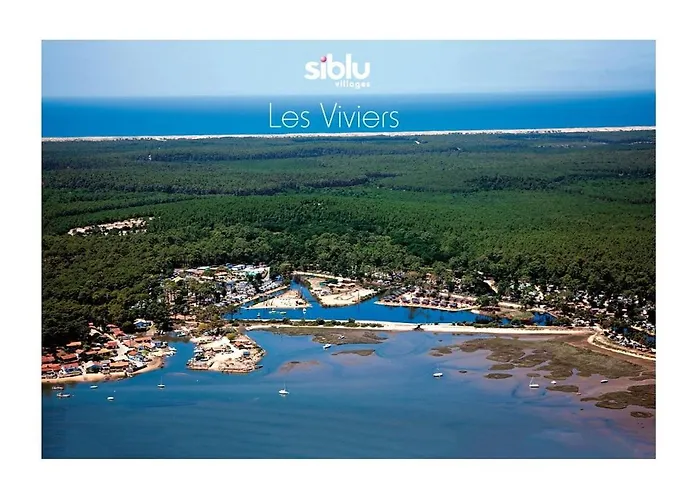 Un Ete Au Cap Ferret