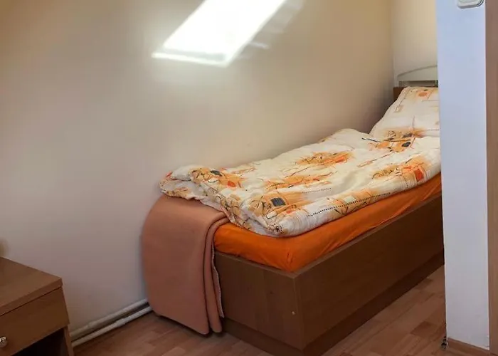 Stajnia Czahary