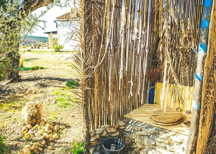 The Dutch Caravan At Wildspirit Eco Farm