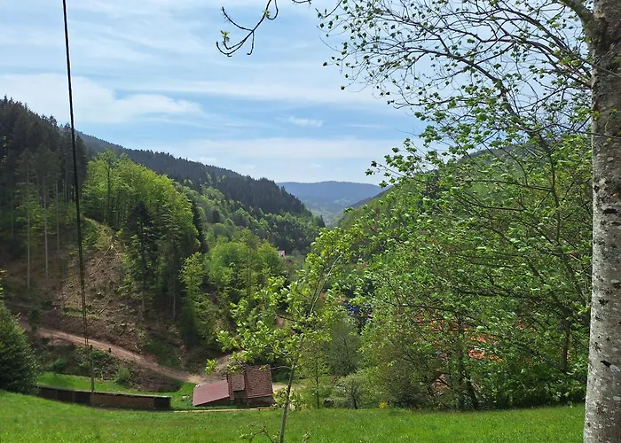 Wildnis-Camp Schwarzwald