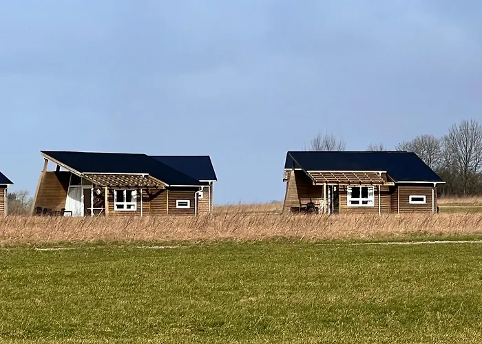 Dancamps Kolding City