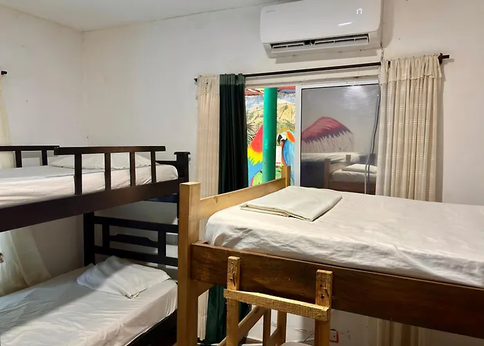 Kimara Tayrona Hostel